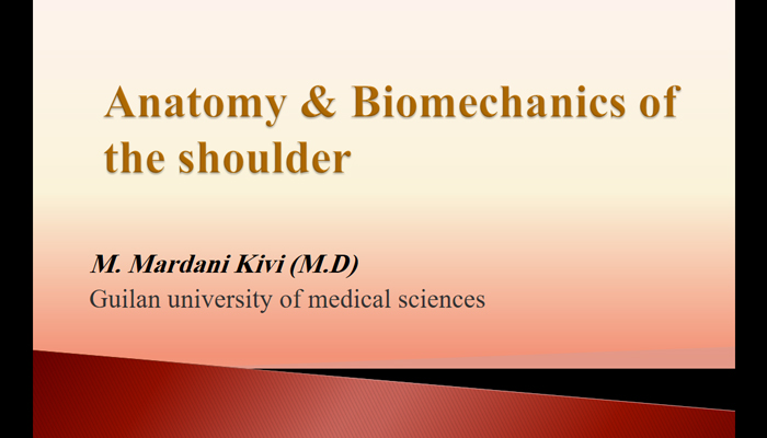 Anatomy Biomechanics of the shoulder 