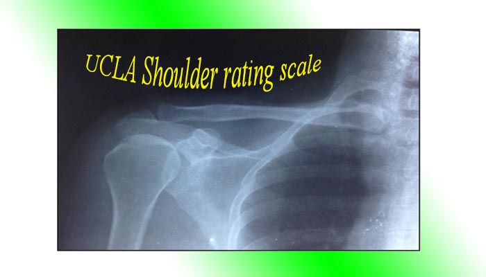 UCLA Shoulder rating scale